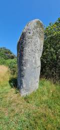  ©Philippe | Superbe Menhir dans une prairie 